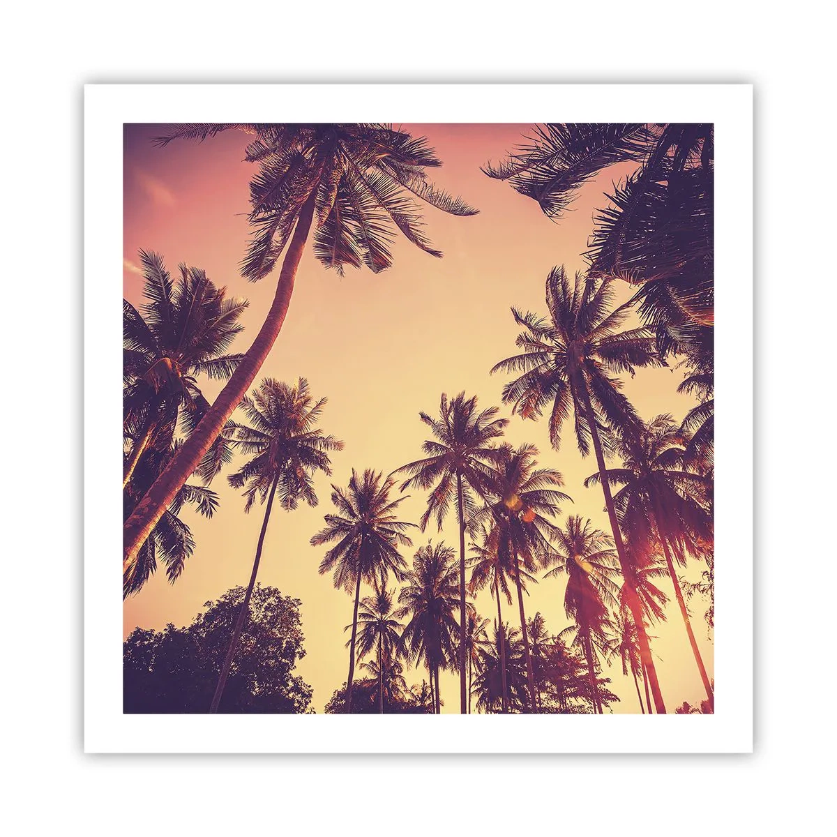 Poster - Tropische Variante - 60x60 cm