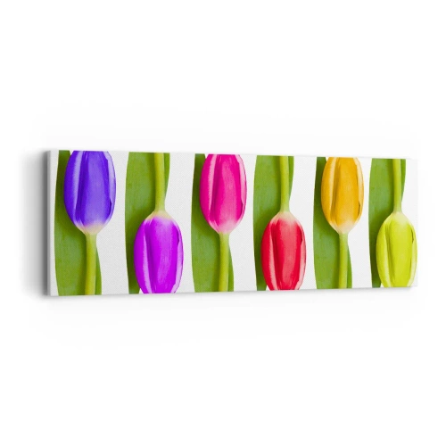 Bild auf Leinwand - Leinwandbild - Regenbogenkomposition - 90x30 cm