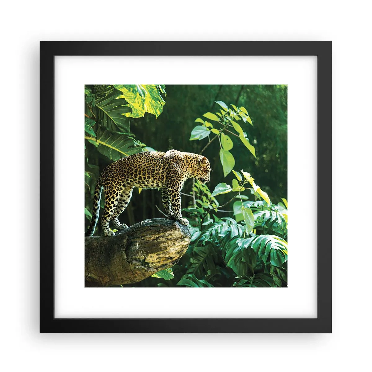 Poster in einem schwarzem Rahmen - Auf die Jagd? - 30x30 cm