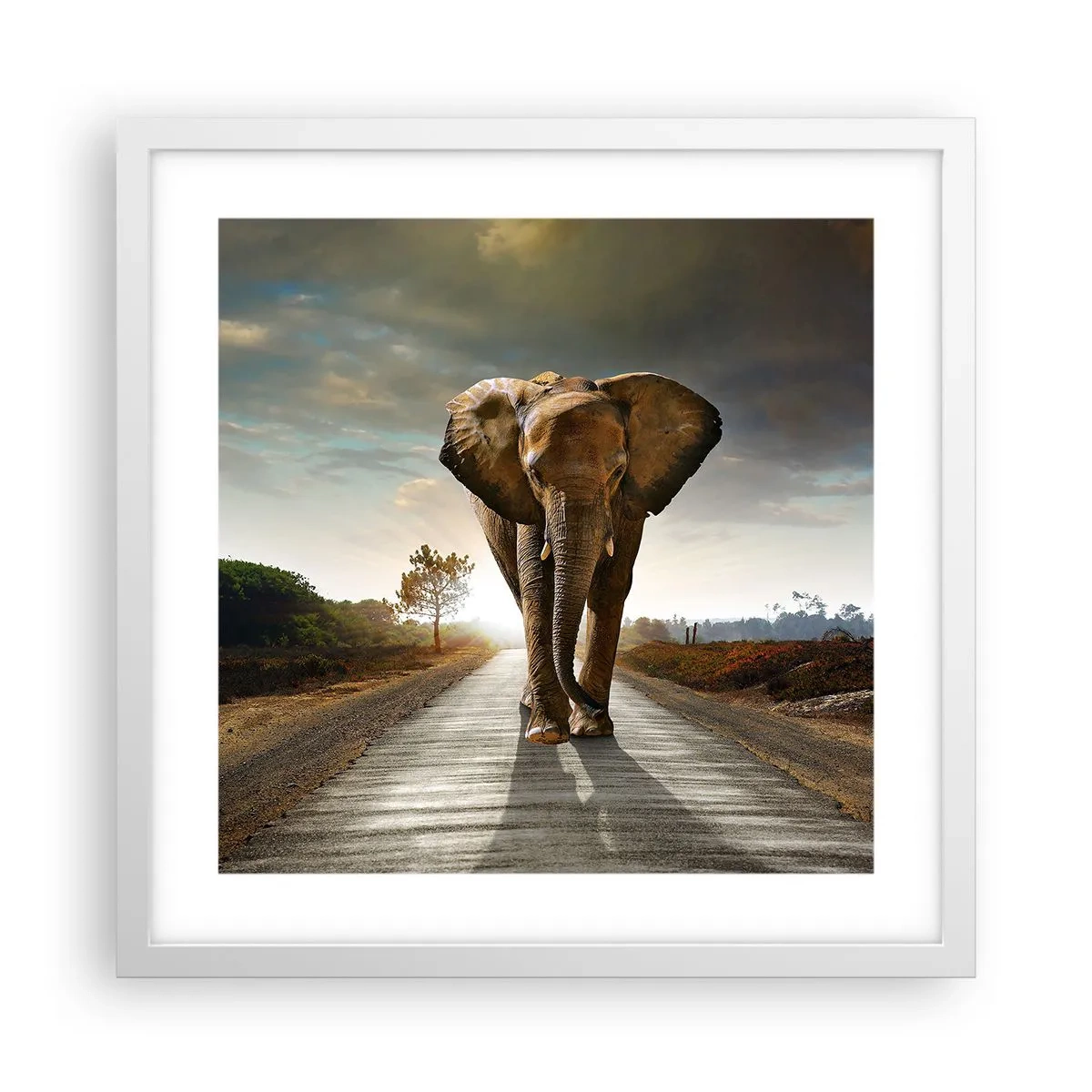 Poster in einem weißen Rahmen - Und schon gar nicht in einem Porzellanlager - 40x40 cm