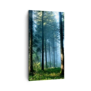 Bild auf Leinwand - Leinwandbild - Strahlend am Morgen - 45x80 cm