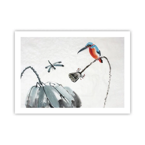 Poster - Das Leben der Wiese - 70x50 cm