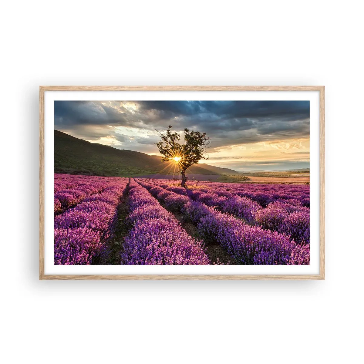 Poster in einem Rahmen aus heller Eiche - Fliederfarbenes Aroma - 91x61 cm