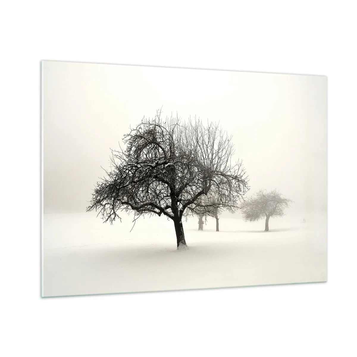 Glasbild - Bild auf glas - Bäume in einer Winterlandschaft, bedeckt mit Schnee und Nebel - 100x70cm - Winterschlaf - Moderne Wanddekoration für Wohnzimmer und Schlafzimmer ARTTOR