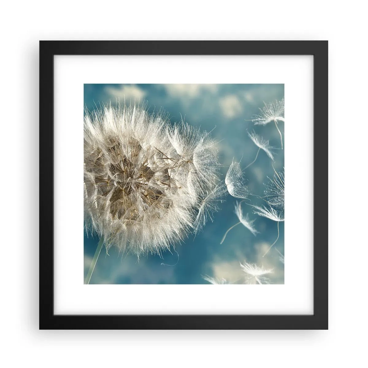 Poster in einem schwarzem Rahmen - Engelsatem - 30x30 cm