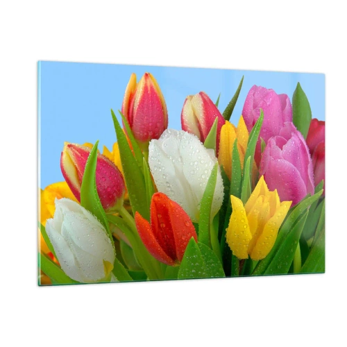 Glasbild - Bild auf glas - Bunte Tulpen mit Tautropfen bedeckt vor blauem Hintergrund - 120x80cm - Ein blumiger Regenbogen in Tautropfen - Moderne Wanddekoration für Wohnzimmer und Schlafzimmer ARTTOR