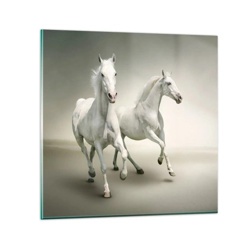 Glasbild - Bild auf glas - Weiße Macht! - 70x70 cm