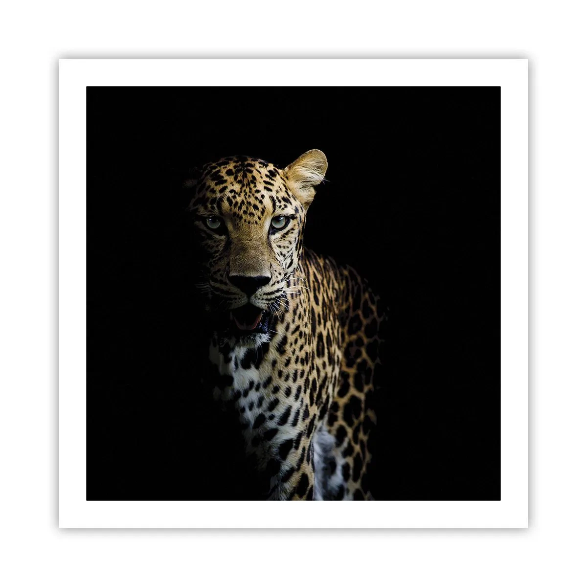 Poster - Dunkle Schönheit - 60x60 cm