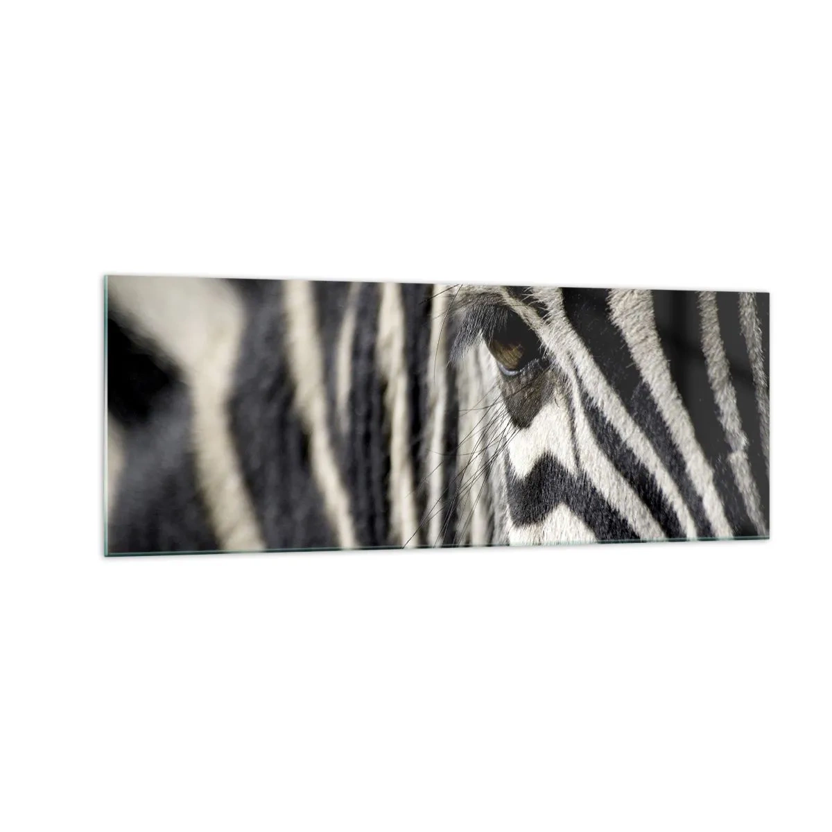 Glasbild - Bild auf glas - Nahaufnahme eines Zebraauges mit schwarzen und weißen Streifen - 140x50cm - Gestreiftes Porträt - Moderne Wanddekoration für Wohnzimmer und Schlafzimmer ARTTOR