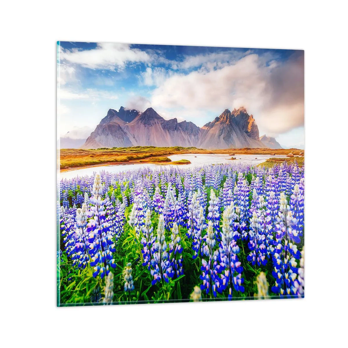 Glasbild - Bild auf glas - Kraft und Strenge neben Sanftmut - 50x50 cm