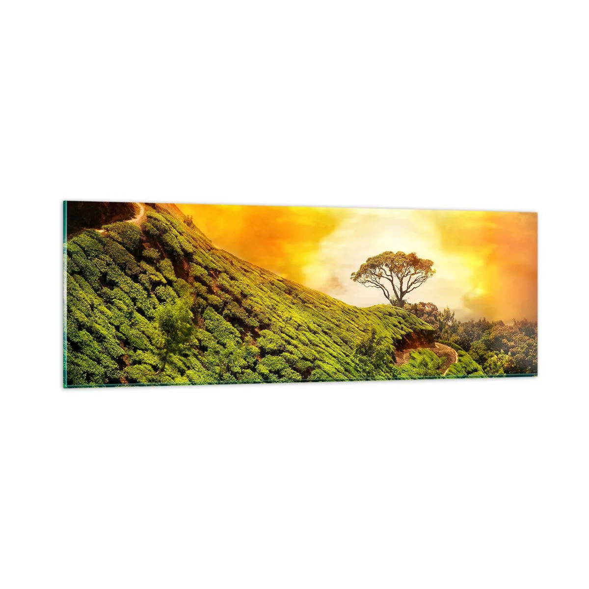 Glasbild - Bild auf glas - Ein gewundener Weg, ein grüner Hang - 90x30 cm