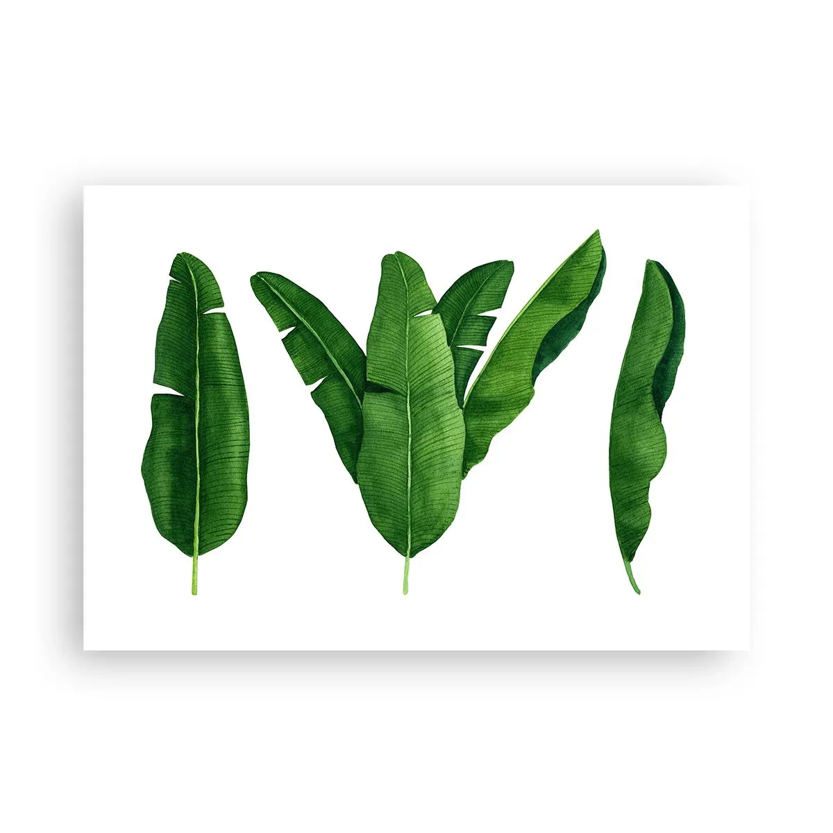 Poster - Drei Bananenblätter in künstlerischer Umsetzung - 100x70cm - Grüne Symmetrie - Moderne Wanddekoration für Wohnzimmer und Schlafzimmer ARTTOR