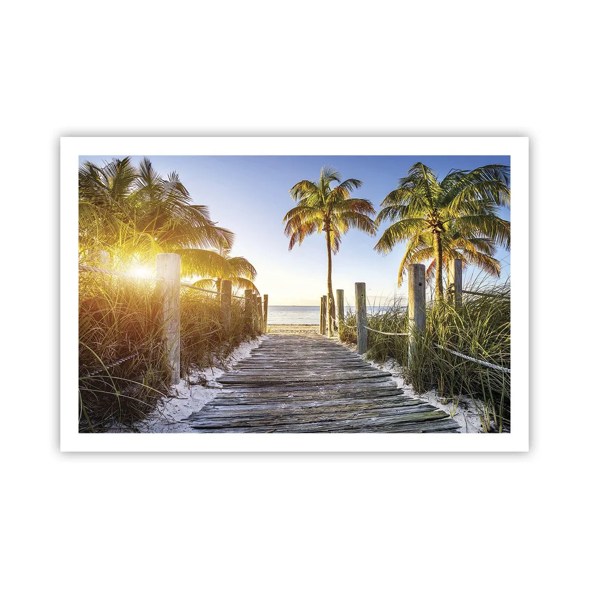 Poster - Direkt ins Paradies - 91x61 cm