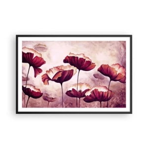 Poster in einem schwarzem Rahmen - Rotes und weißes Blütenblatt - 91x61 cm