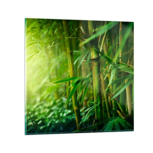 Glasbild - Bild auf glas - Lerne Grün selbst kennen - 30x30 cm