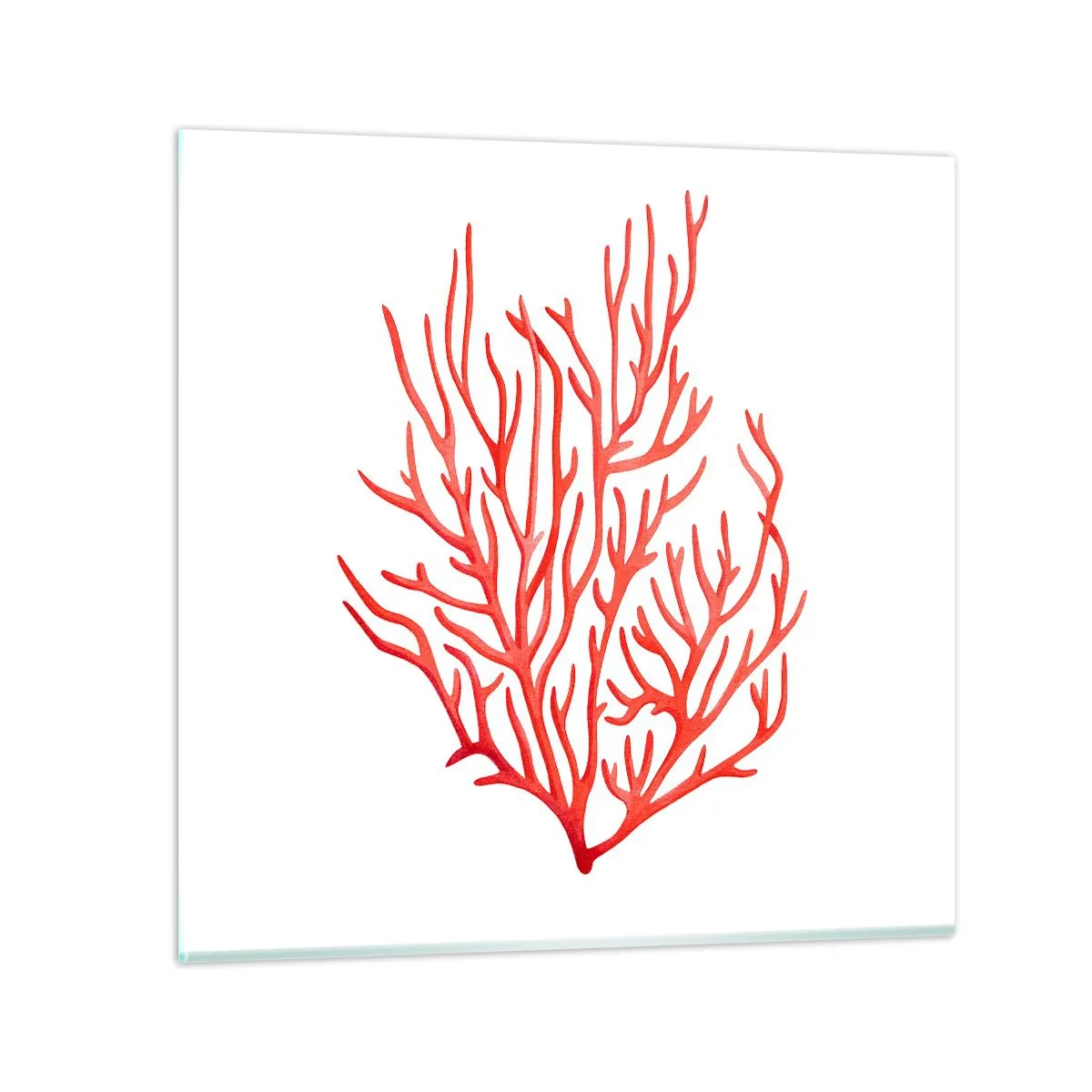 Glasbild - Bild auf glas - Korallenfiligran - 30x30 cm
