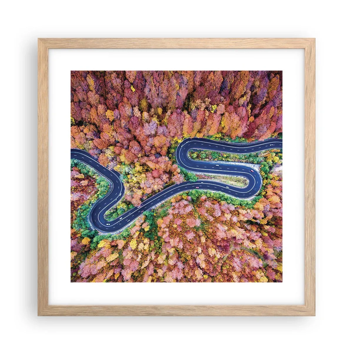 Poster in einem Rahmen aus heller Eiche - Kurvenreicher Weg durch den Wald - 40x40 cm