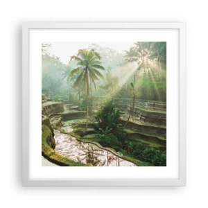 Poster in einem weißen Rahmen - In der Sonne aufwachsen - 40x40 cm