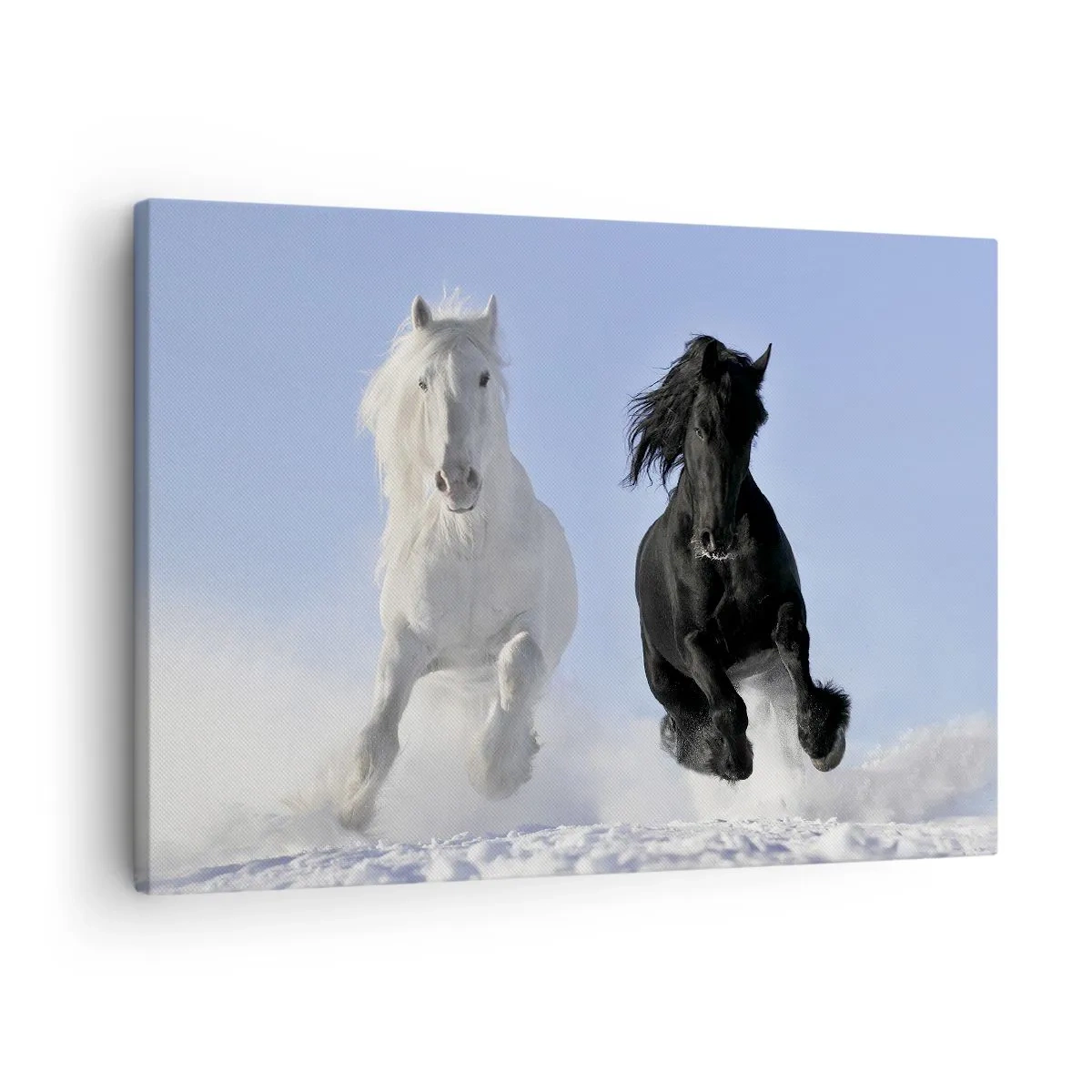 Bild auf Leinwand - Leinwandbild - Ein weißes und ein schwarzes Pferd galoppieren durch den Schnee - 70x50cm - Schwarz-Weiß-Galopp - Moderne Wanddekoration für Wohnzimmer und Schlafzimmer ARTTOR