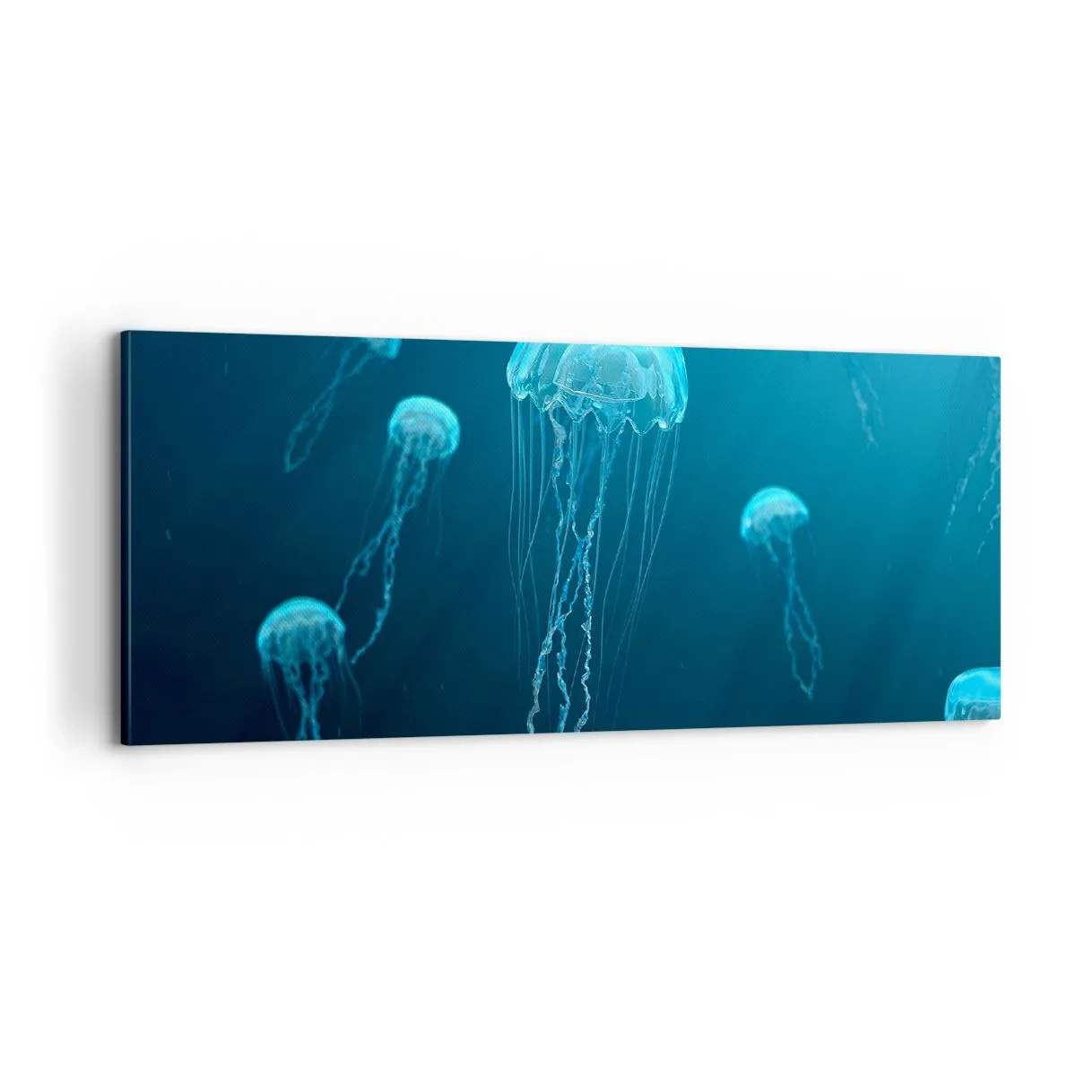 Bild auf Leinwand - Leinwandbild - Ozeantanz - 100x40 cm