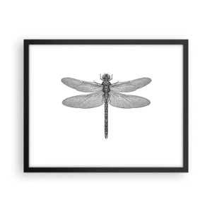 Poster in einem schwarzem Rahmen - Präzision der Natur - 50x40 cm