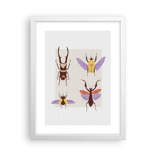 Poster in einem weißen Rahmen - Insektenwelt - 30x40 cm