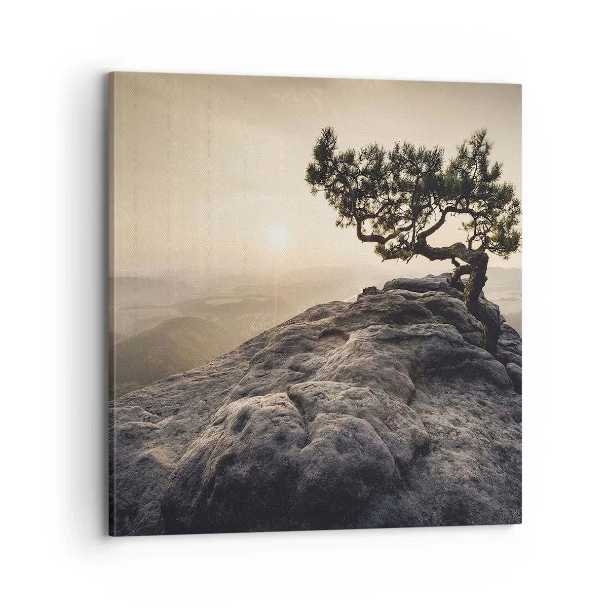 Bild auf Leinwand - Leinwandbild - Das Leben gewinnt immer - 70x70 cm