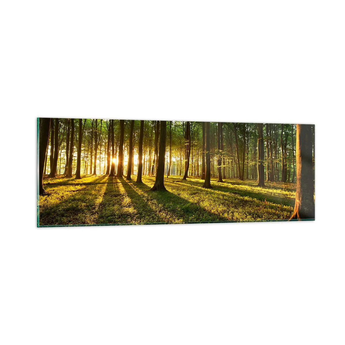 Glasbild - Bild auf glas - Alle Frühlingsfotografie - 90x30 cm