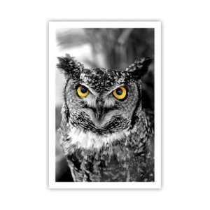 Poster - Nichts wird sich verstecken - 61x91 cm