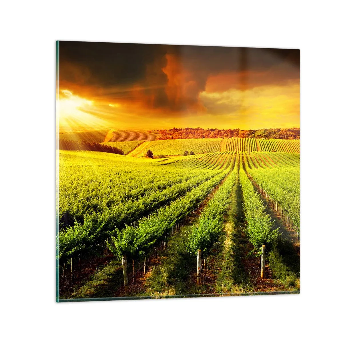 Glasbild - Bild auf glas - Unter der australischen Sonne - 30x30 cm