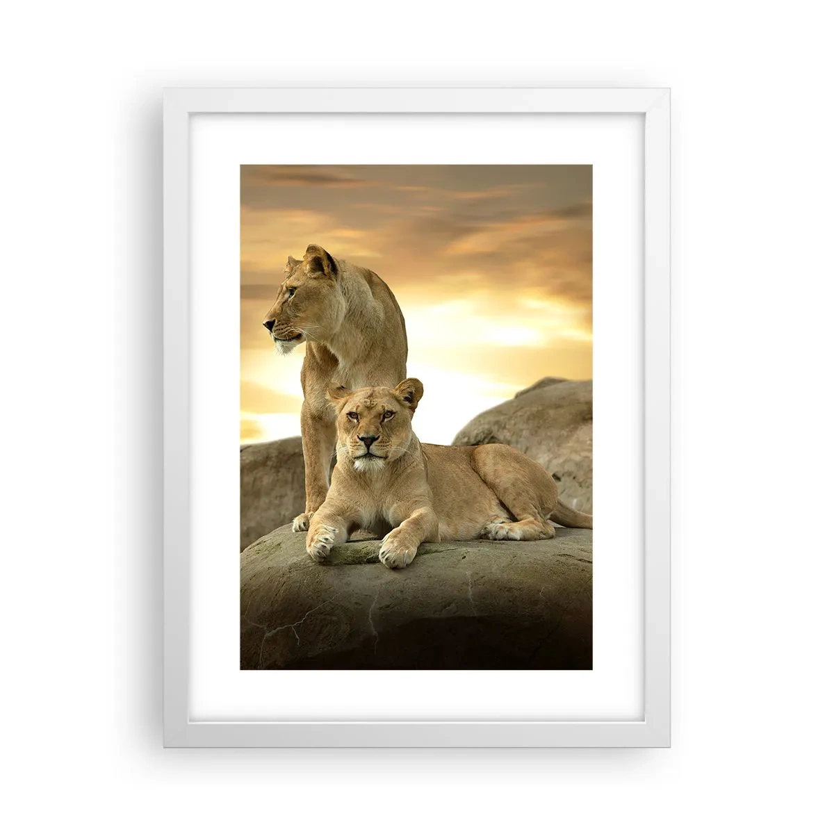 Poster in einem weißen Rahmen - Königliche Majestät - 30x40 cm