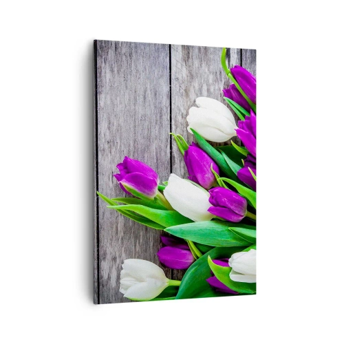 Bild auf Leinwand - Leinwandbild - Ein Strauß lila und weißer Tulpen auf einem hölzernen Hintergrund - 70x100cm - Am Tag der Frühlingsferien - Moderne Wanddekoration für Wohnzimmer und Schlafzimmer ARTTOR