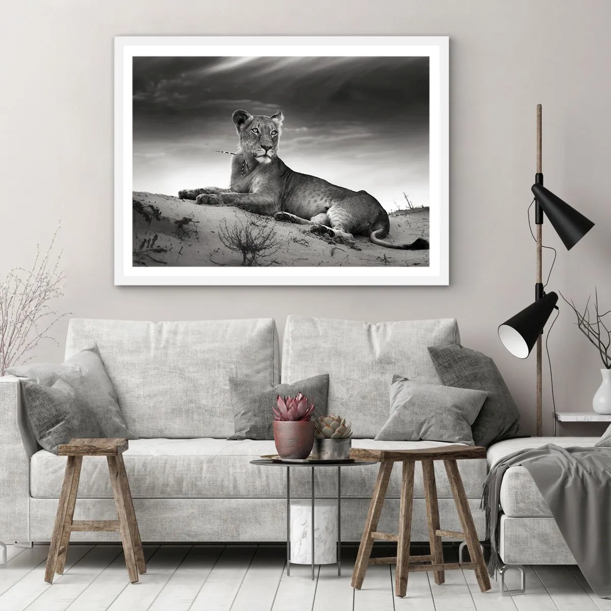 Poster in einem weißen Rahmen - Die Königin der Wüstenruhe - 100x70 cm