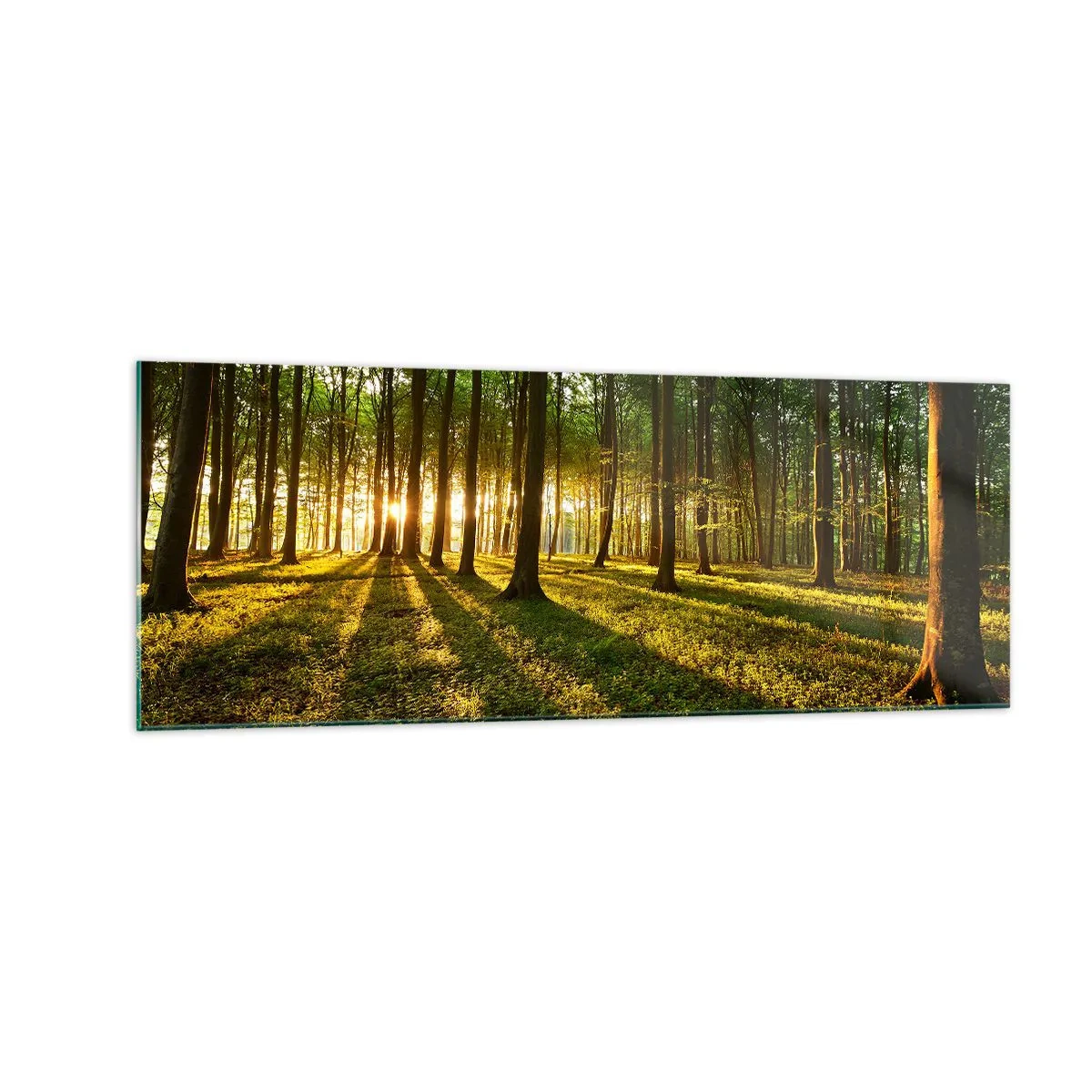 Glasbild - Bild auf glas - Die untergehende Sonne im Laubwald - 140x50cm - Alle Frühlingsfotografie - Moderne Wanddekoration für Wohnzimmer und Schlafzimmer ARTTOR