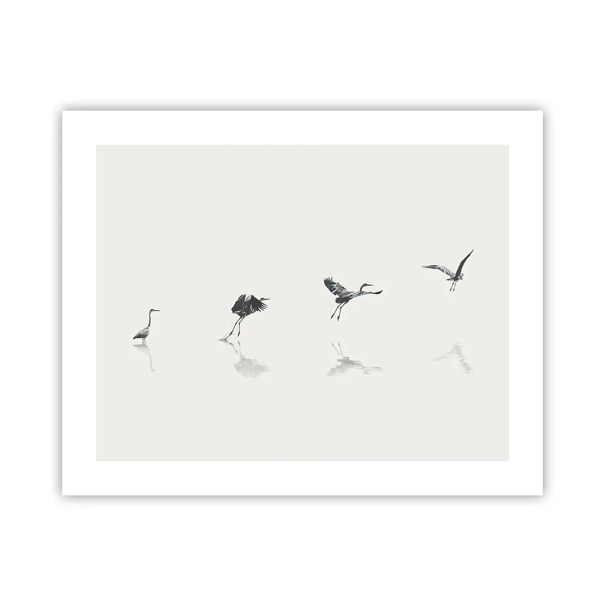 Poster - Vier einfache Schritte - 50x40 cm