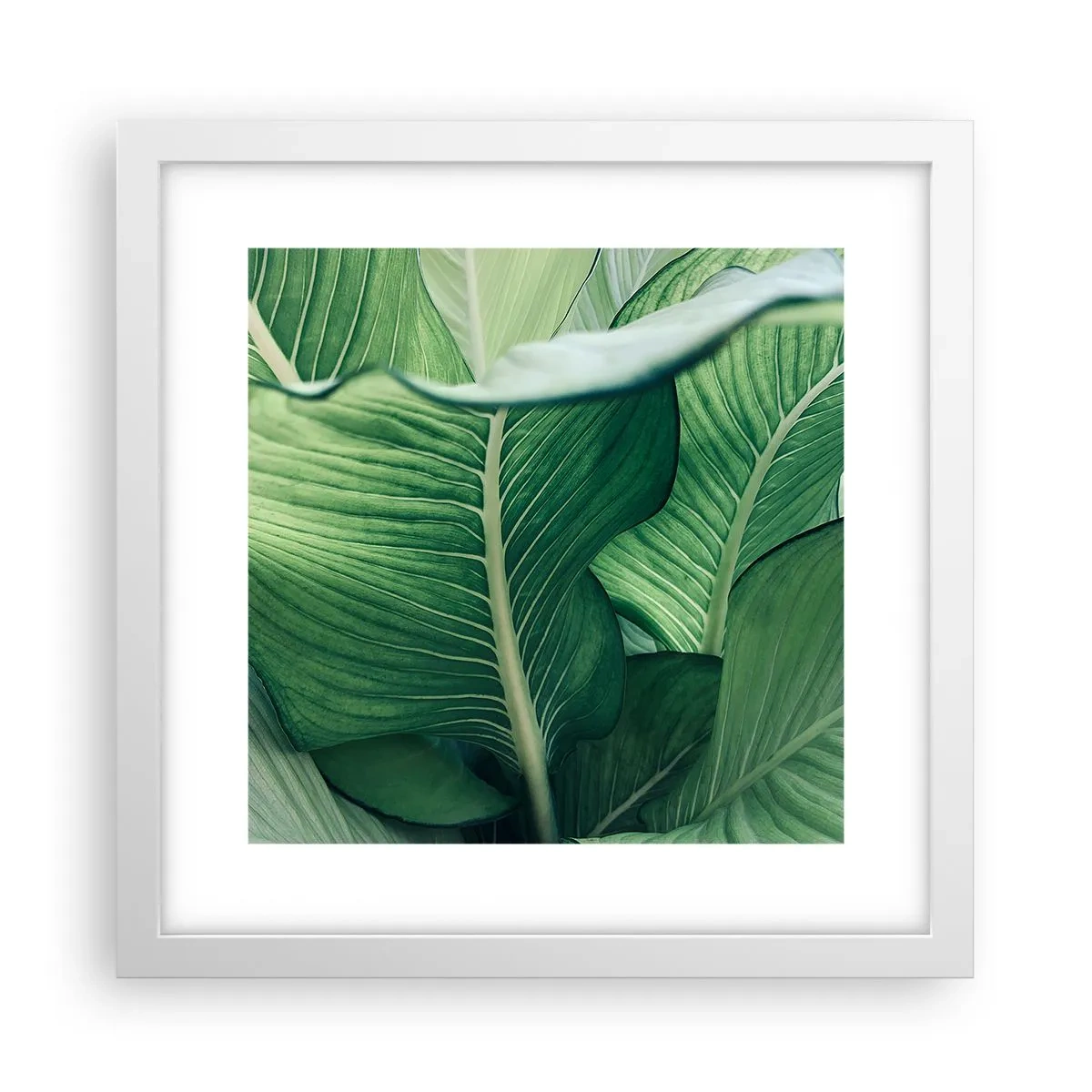 Poster in einem weißen Rahmen - Intensiv grünes Leben - 30x30 cm