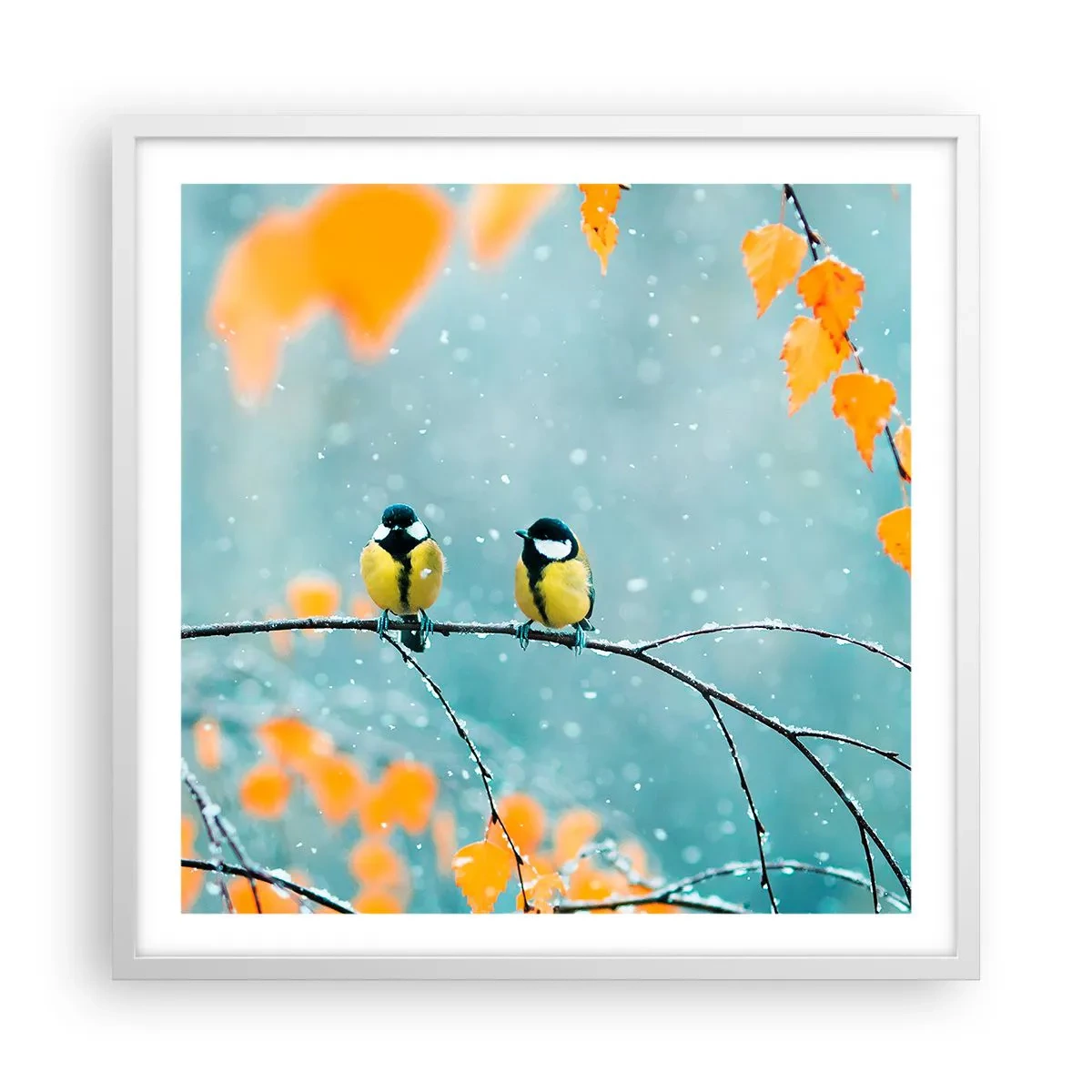 Poster in einem weißen Rahmen - Vogelklatsch - 60x60 cm