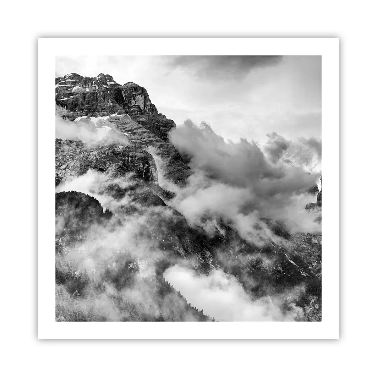 Poster - Schön und grausam - 60x60 cm
