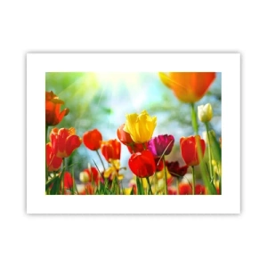 Poster - Alle Farben der Sonne - 40x30 cm