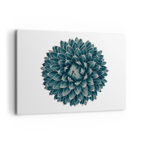Bild auf Leinwand - Leinwandbild - Symmetrische Sukkulente auf weißem Hintergrund - 100x70cm - Stern der Wüste - Moderne Wanddekoration für Wohnzimmer und Schlafzimmer ARTTOR