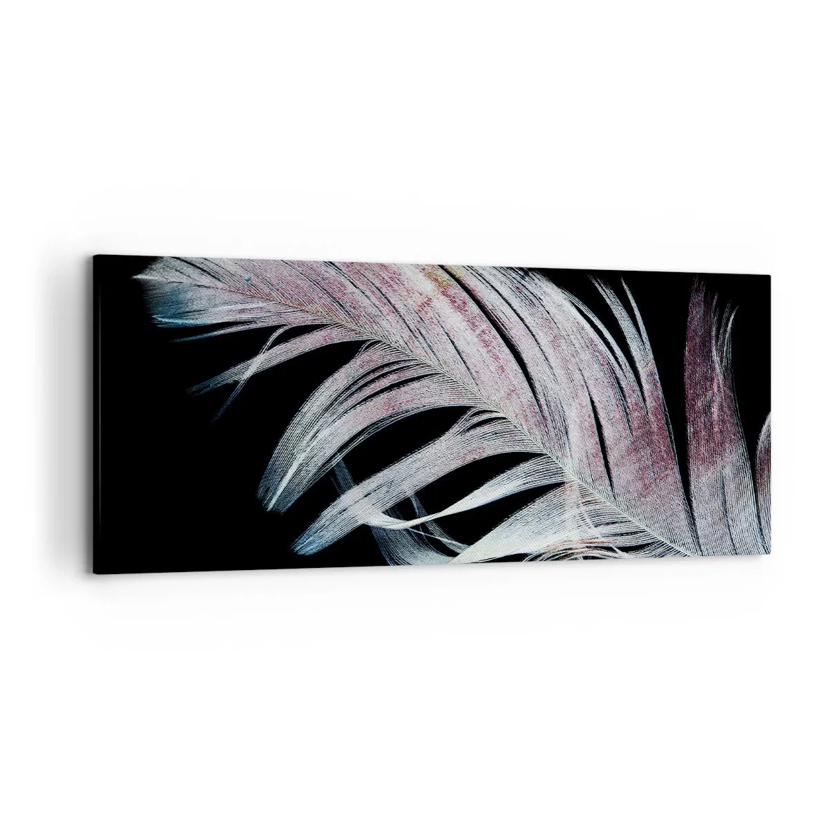 Bild auf Leinwand - Leinwandbild - Eine zarte Feder auf schwarzem Hintergrund in einem künstlerischen Ansatz - 120x50cm - Denke an Berührung - Moderne Wanddekoration für Wohnzimmer und Schlafzimmer ARTTOR