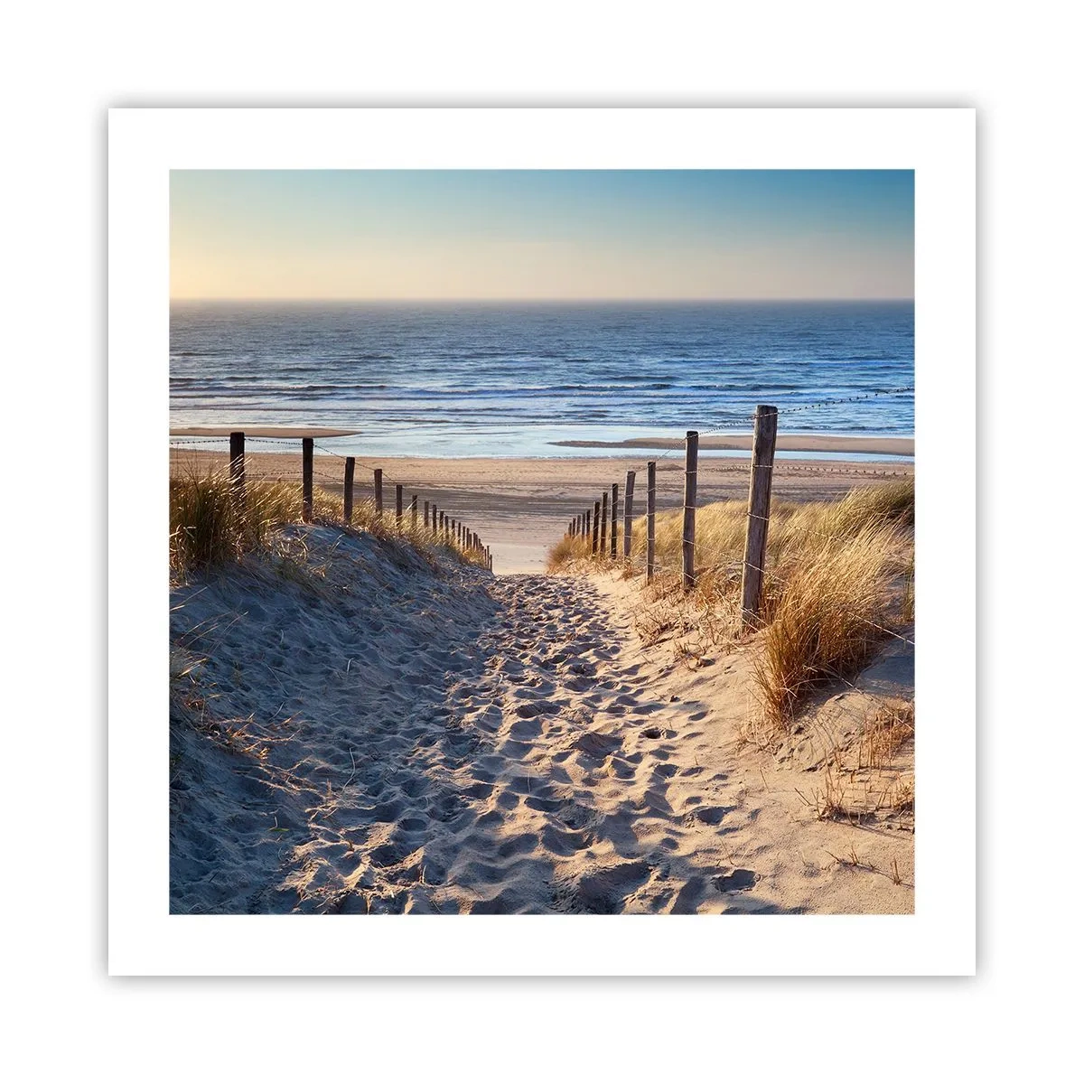 Poster - Das Rauschen des Meeres, der Gesang der Vögel, ein wilder Strand im Gras ... - 50x50 cm