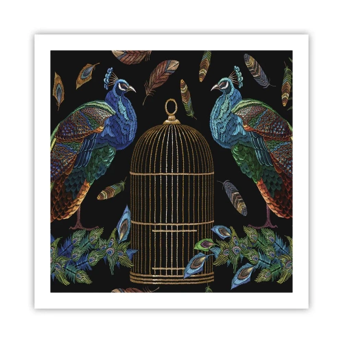 Poster - In königlichen Gewändern - 60x60 cm