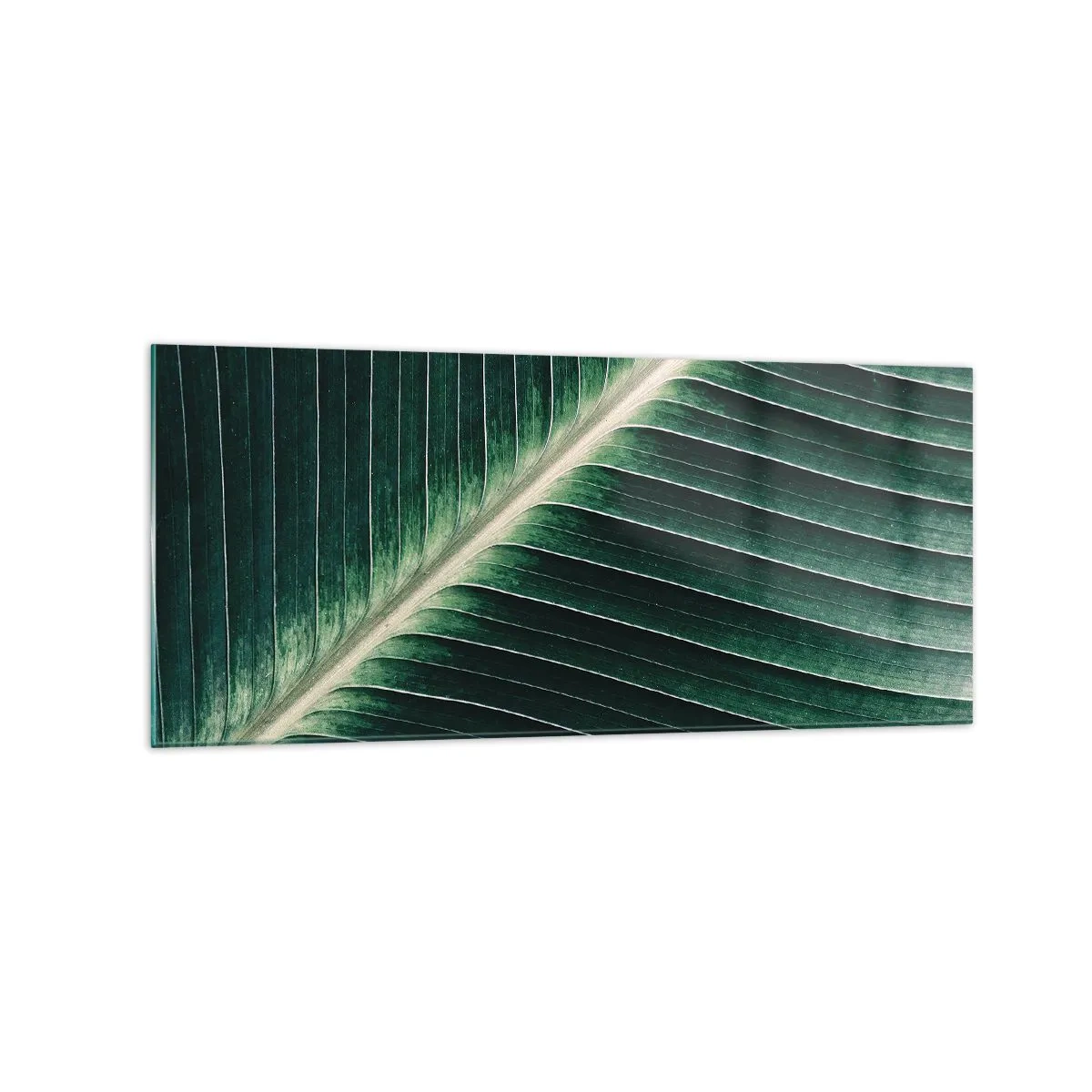 Glasbild - Bild auf glas - Nahaufnahme der Struktur eines grünen Blattes - 120x50cm - Rhythmus der Natur - Moderne Wanddekoration für Wohnzimmer und Schlafzimmer ARTTOR