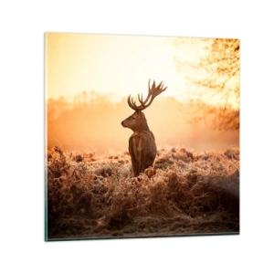 Glasbild - Bild auf glas - Herr im eigenen Land - 70x70 cm