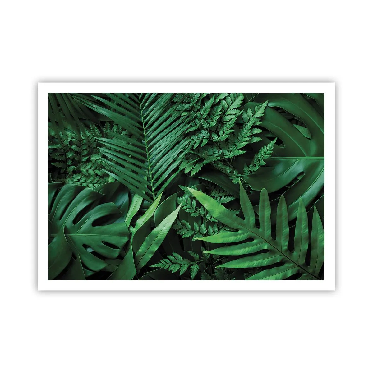 Poster - Grüne tropische Blätter in einer dichten und natürlichen Komposition - 100x70cm - Eingebettet ins Grüne - Moderne Wanddekoration für Wohnzimmer und Schlafzimmer ARTTOR