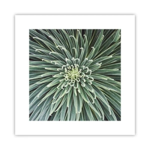 Poster - Ein Star ist geboren - 30x30 cm