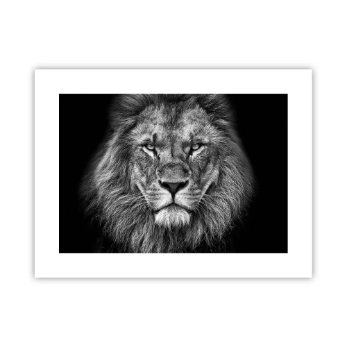 Poster - Im Krönungsgewand - 40x30 cm