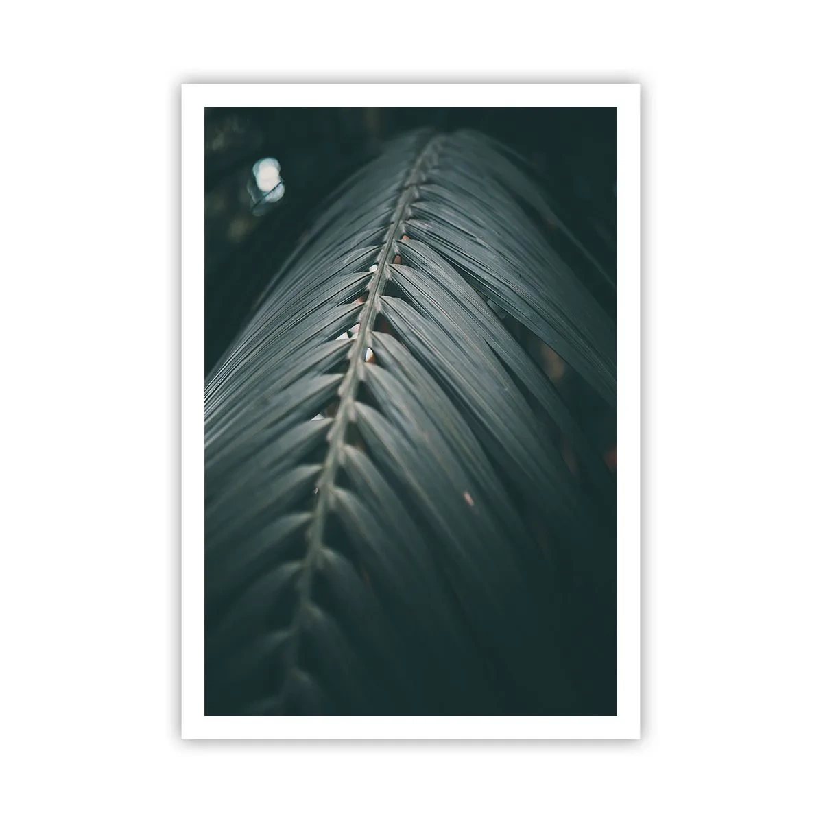 Poster - Die Präzision der Natur - 70x100 cm