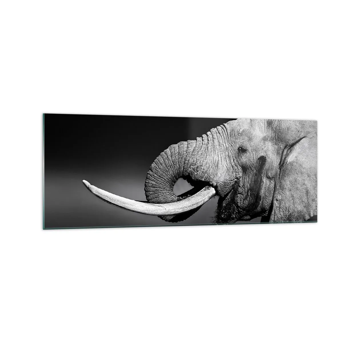 Glasbild - Bild auf glas - Schwarz-Weiß-Porträt eines Elefanten im Profil - 140x50cm - Ja, gut jetzt - Moderne Wanddekoration für Wohnzimmer und Schlafzimmer ARTTOR